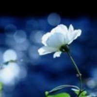 0c0ca7e4777ccad9e036099d4ccb66699787cc0e