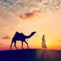 08b8b5099060097b8fe298719f59fe6f1f51c145