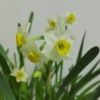 0fd8b23ab257367565e42b5bc2717b72eb047f74