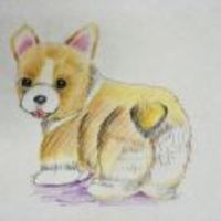 51d5ca3c6673364d21c06fc09d00d5256e718d83