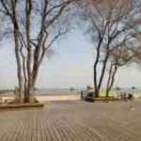 3dbe807a19f89701875b4309d865e2e997937354