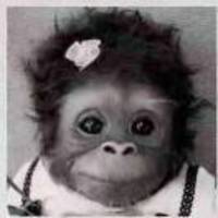 C76a6c180f4eef3c1ee61a71aaf17d564229916c