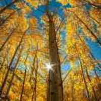 01f99c9d45e5107d630a4d033ac1ca95cd4f849e