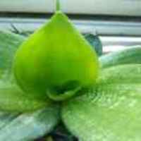 31e909cc342a8b66dfe65c002f55795e7fca41b6