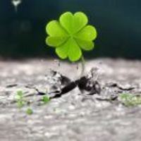 641840adc0fe596e4ae00c3072442c63e4382657