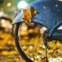 3a7f151653199d4c64c29bb8722162a3ea038abf