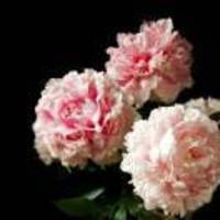 34aefc342849a461f19c1415099eea63d5fe54c6