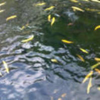 0624466117437f84c1adc70bc7184d3f072582ce