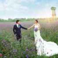 253a8a88f08cb250ed2cde481acd91b59314a768