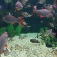 59c9c378328e508cd93231cb70adc4eddbf16498