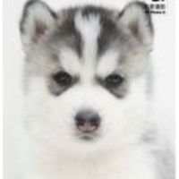 1064ecaa84edfcded831c792332e15277c2b9e8f