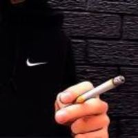 272a91e89bf3e493c0832458d115fa72ce119538