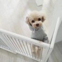 Dd70018a4d1b7afead3d8195a0738a06a6107920