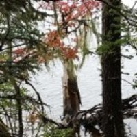 48f1b8f7b10bfc314066892fcbba982ef6649b47