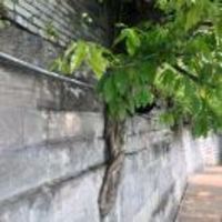 D764585f2018c655ad9709dd61b263d1fccf4195