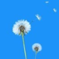 Be818e48ac0ece884f4823547c45365d83a3fc17