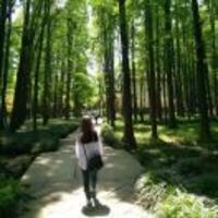 8f64f425661d966409befb50c0ea97264399ae37