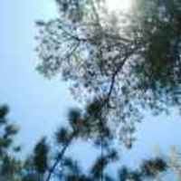 548e4b6bd10408defd0afb3803b3fb4bceb9dc73