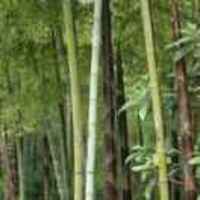 Fa309fa0dbb591117525b3a0df4cee22f864ce78