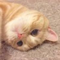 0bd24fa46f6bc6c7417da460e4e70400bd61ad15