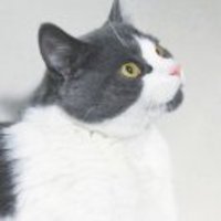 587ac1a3d9bc9d28c44734f8e3dfc652f83c00b9