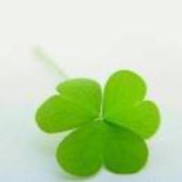 D320fbe5b6afc88b2db174747dc2f78fb660bbba