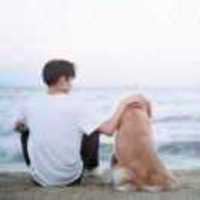 9da49c337205705ae319d6a9225ee029b4a7baee