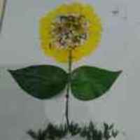 D669dc98e6bf7ff6fdff99e9a4c7d8bdf0243446