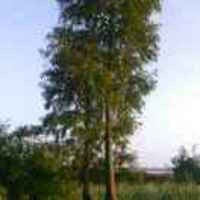 A7c7084688c2b3965f24301318e55a32fd368dad