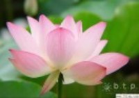 56b5937d049539940966ba9ba25f70f7868468a9