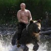 Fc92d3c3a80a606a26449430b4ee39093cfe6290