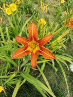 2529ccdbfcca4b6fe1029241580e4ec19be95d98