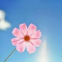 D2aa74055092bacd4a9221bf0884a29ab8061ae9