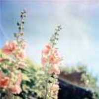 83bce2d42ef90761f498a6bcd10b56e41acf77a3