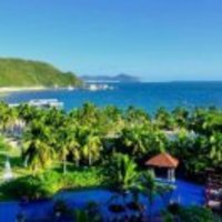 D68831a7b6bac4851df2a7a66ea20fdde1ce2700