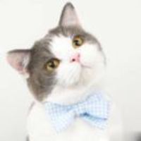 A7e80fe87f4e15d2fbb47fd666b0e1fd10785efa