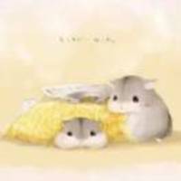 778d4832a2481b728e2eaec6a1c46f1a799cdbdd