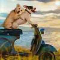 B7330b46fcb9c74f570738cc3def0453bf3c5342