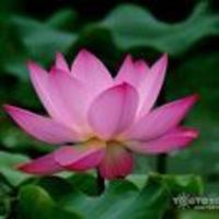 1240245cdc006fc57dc2f02e1cf5e40328f1377b