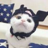 7e0fa33f9c09794c8f8baaec2b302bd8a80288c2