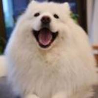 Ea7dd1f93955096cc14de0c398d68a39228ed00c