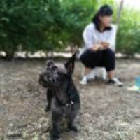 74bf6f422e44d8ccb9ff57c7ad0cda2038ab490c