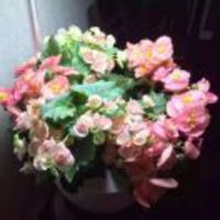 3d397c0935fb21fd5d85573539a9537e9186333e