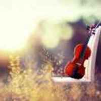 C3dc5fd366794edef07d5992d3f239d698f07e89