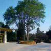 A0a4f55a0fb5051af4e81f2e1925c0551a75a4a7