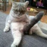 2c632a2b011e3edead138f4ed312f83603dd30a1