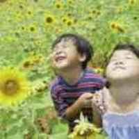 3c1dd8098afa19fa1382a8409759222cb5619492