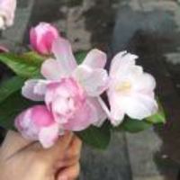 A41971f000b401353688aca5c51c9d829a432f0b