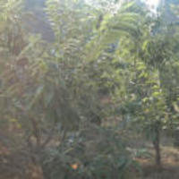 505579af975b5b48d8e34b840d0a88240b376b10