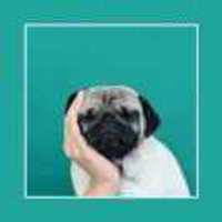 C39e565dcc82218495696b27c704fb7e33d7d1f8